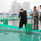 Kim Jong-un en una piscifactoría en Pyongyang. Getty